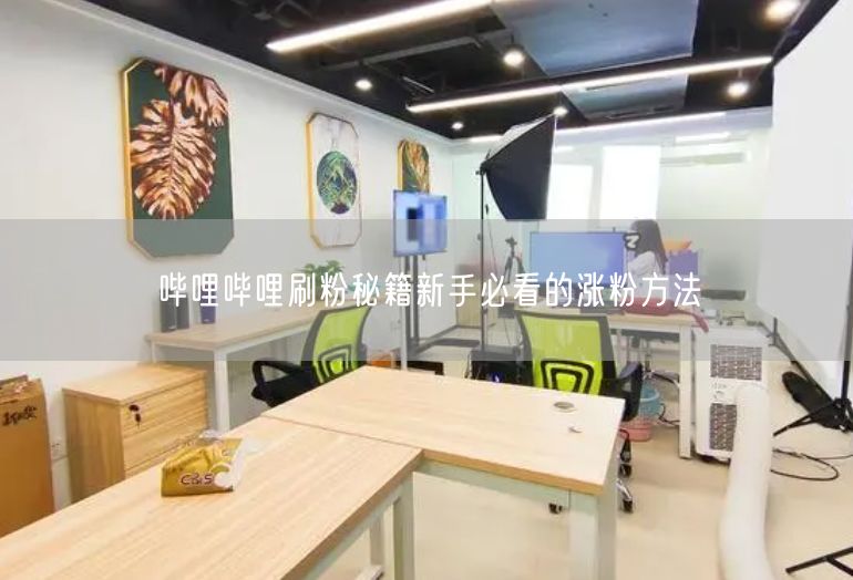 哔哩哔哩刷粉秘籍新手必看的涨粉方法
